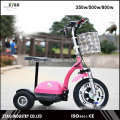 Ce aprobado E-Bike con 3 ruedas 36V / 12ah 500W para adultos